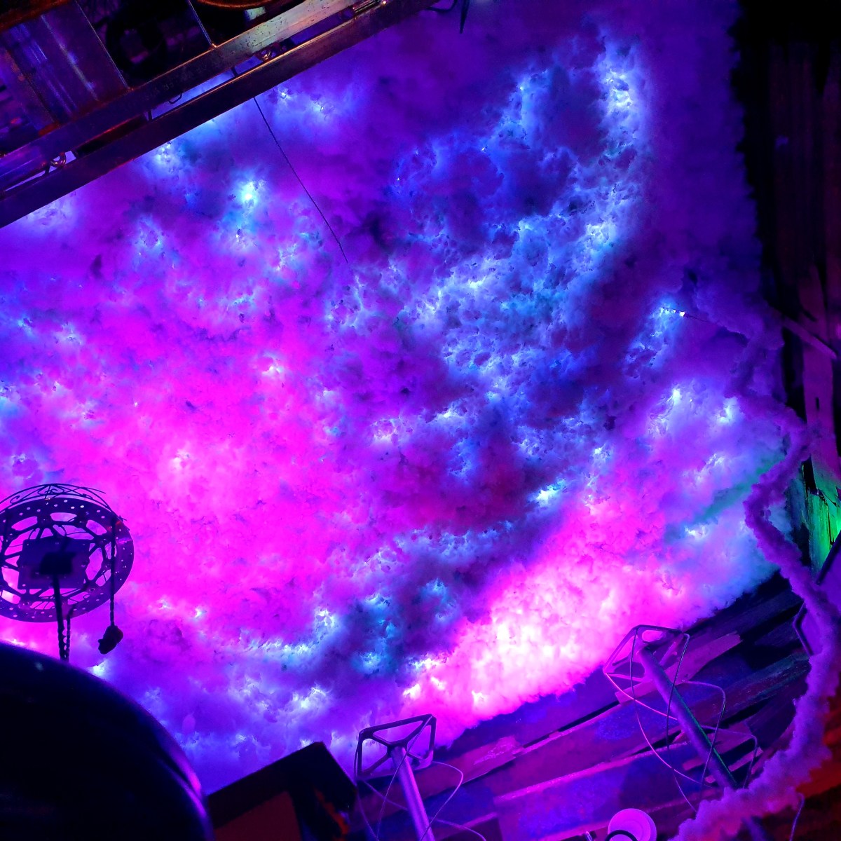 Wake the Tiger: The UK’s Answer to Meow&nbsp;Wolf?