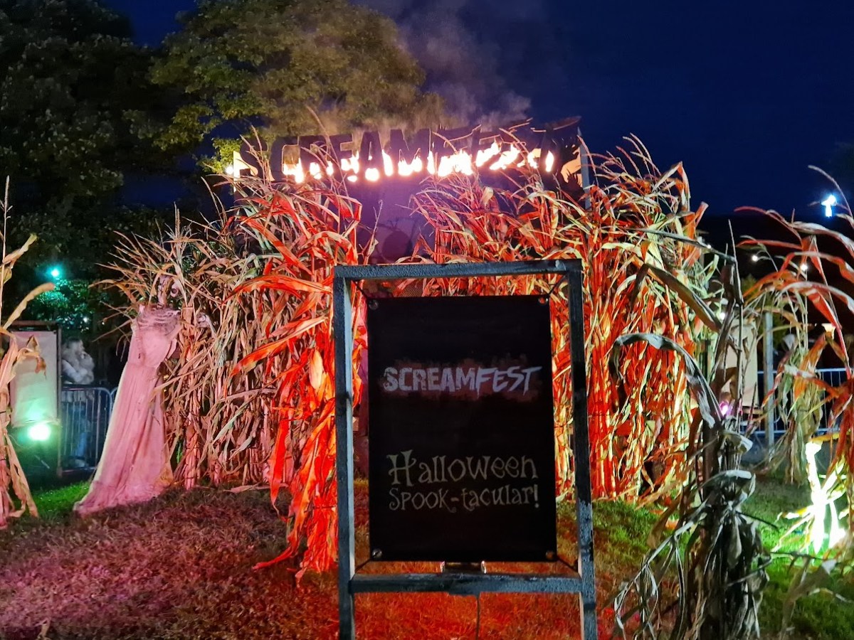 Spooky Season 2022:&nbsp;Screamfest