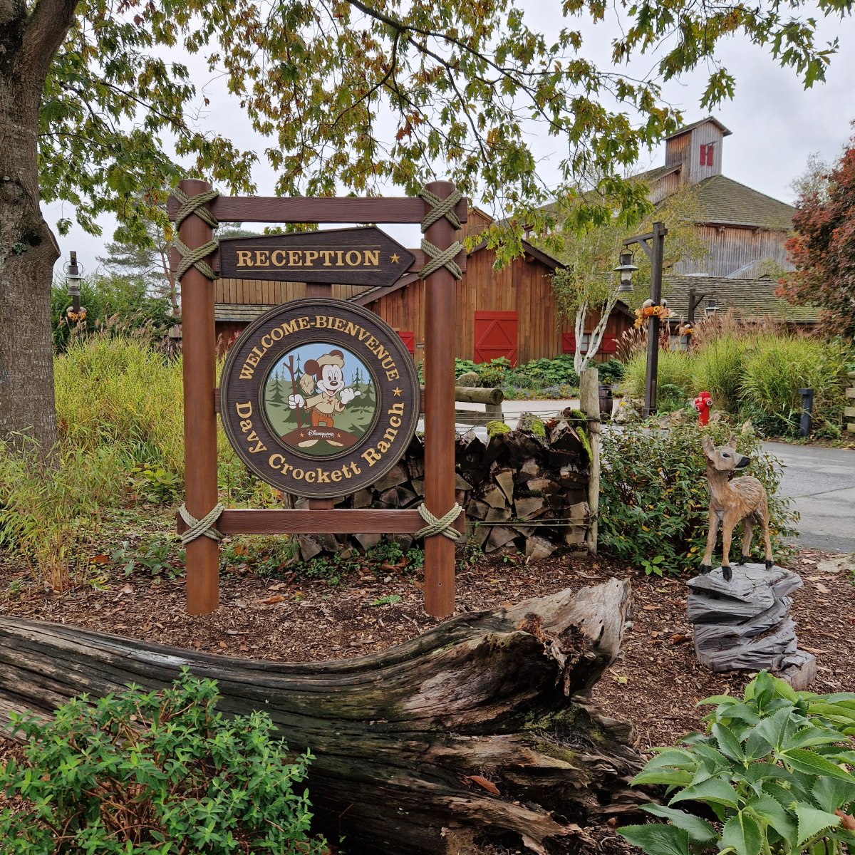 Disney Davy Crockett&nbsp;Ranch